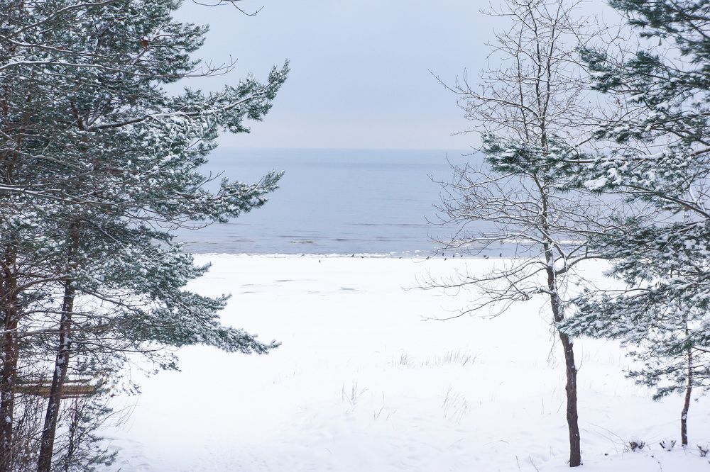 Фотография автора Igors Rostikovs