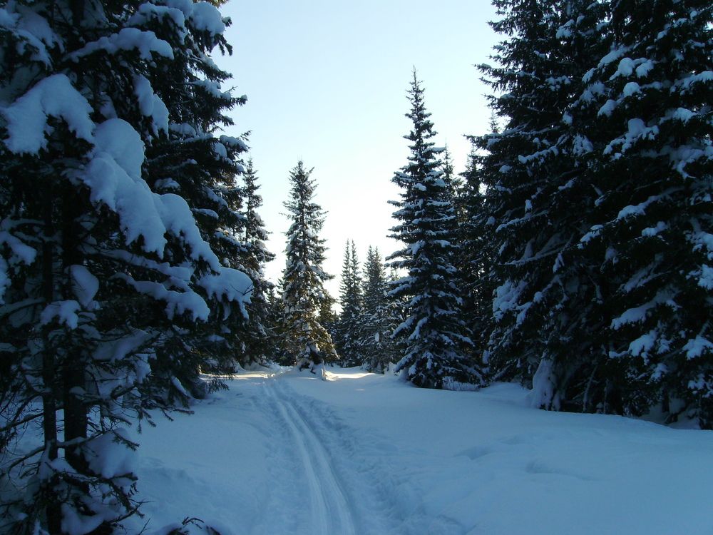 Photograph by Игорь Грегуль