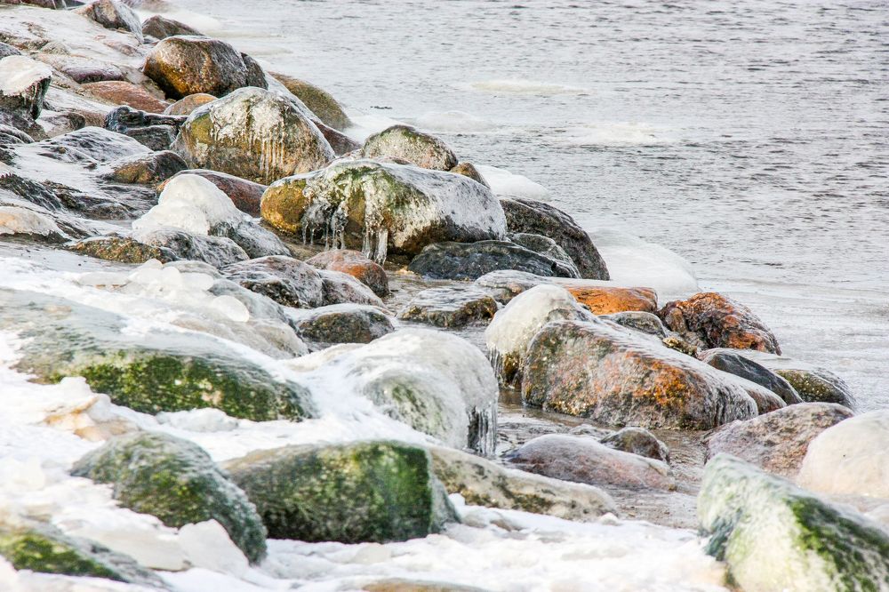 Photograph by Igors Rostikovs