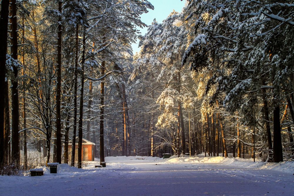 Photograph by Igors Rostikovs