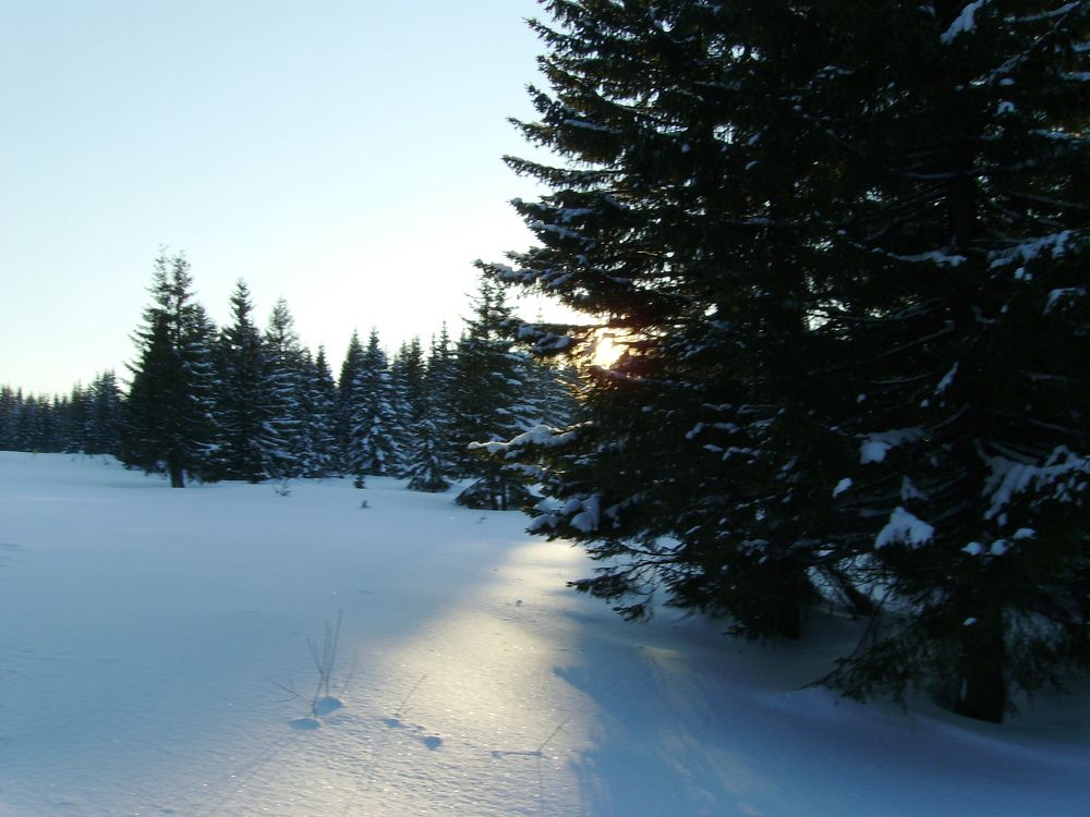 Photograph by Игорь Грегуль