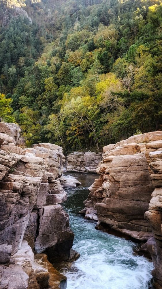 Photograph by Tatiana Kirillova