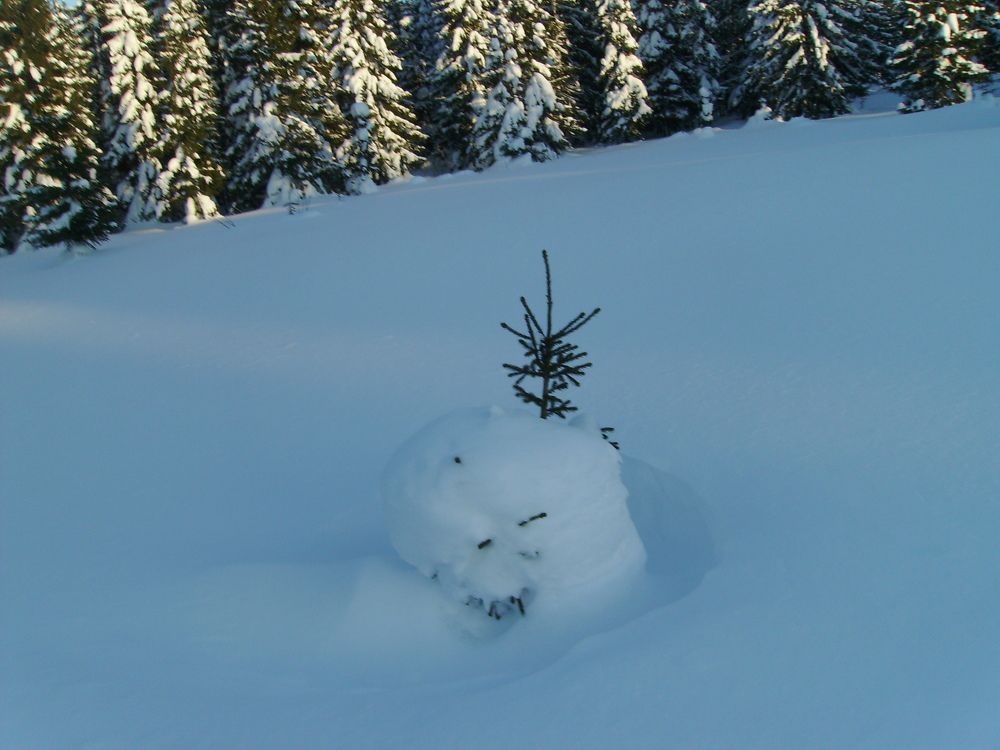 Photograph by Игорь Грегуль