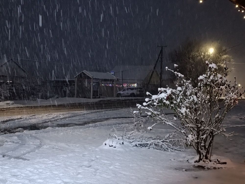Photo #11702961