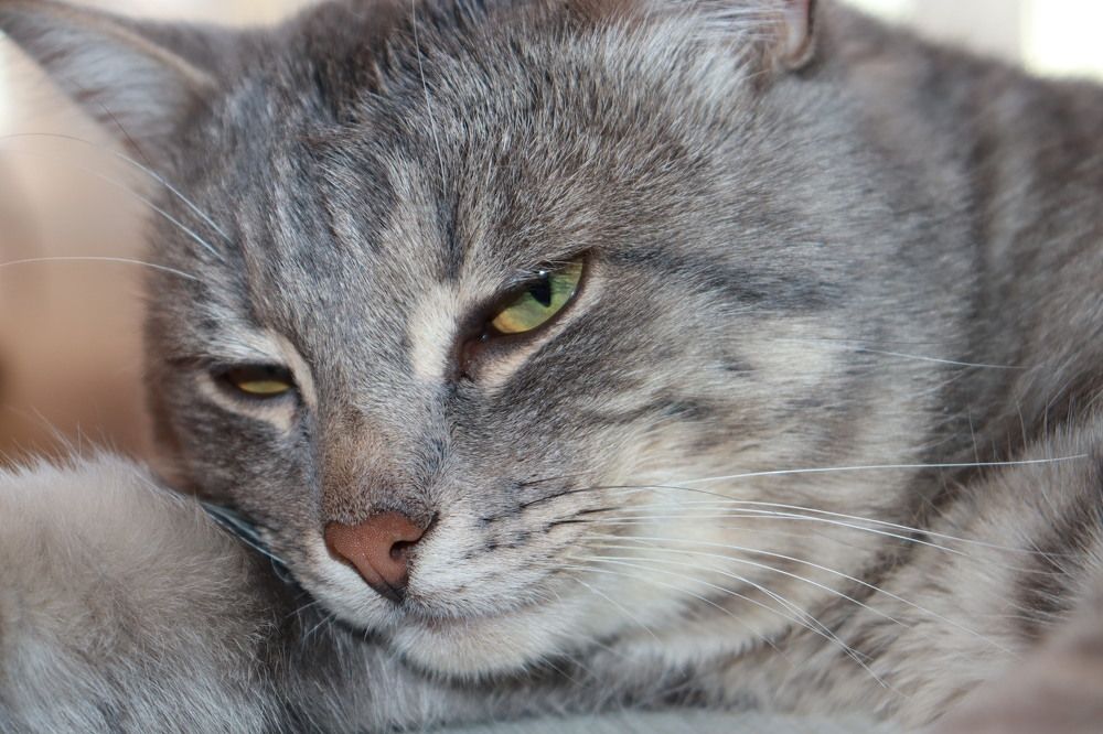 Photograph by Лиана Ишбаева