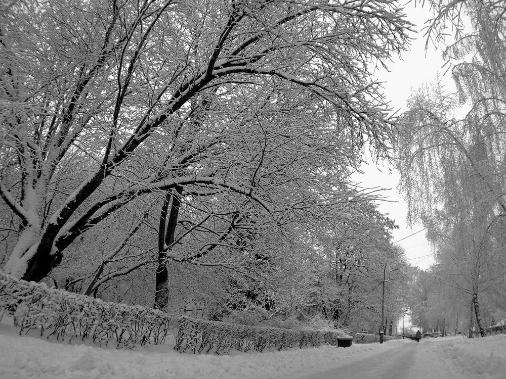 Зима в Пущино