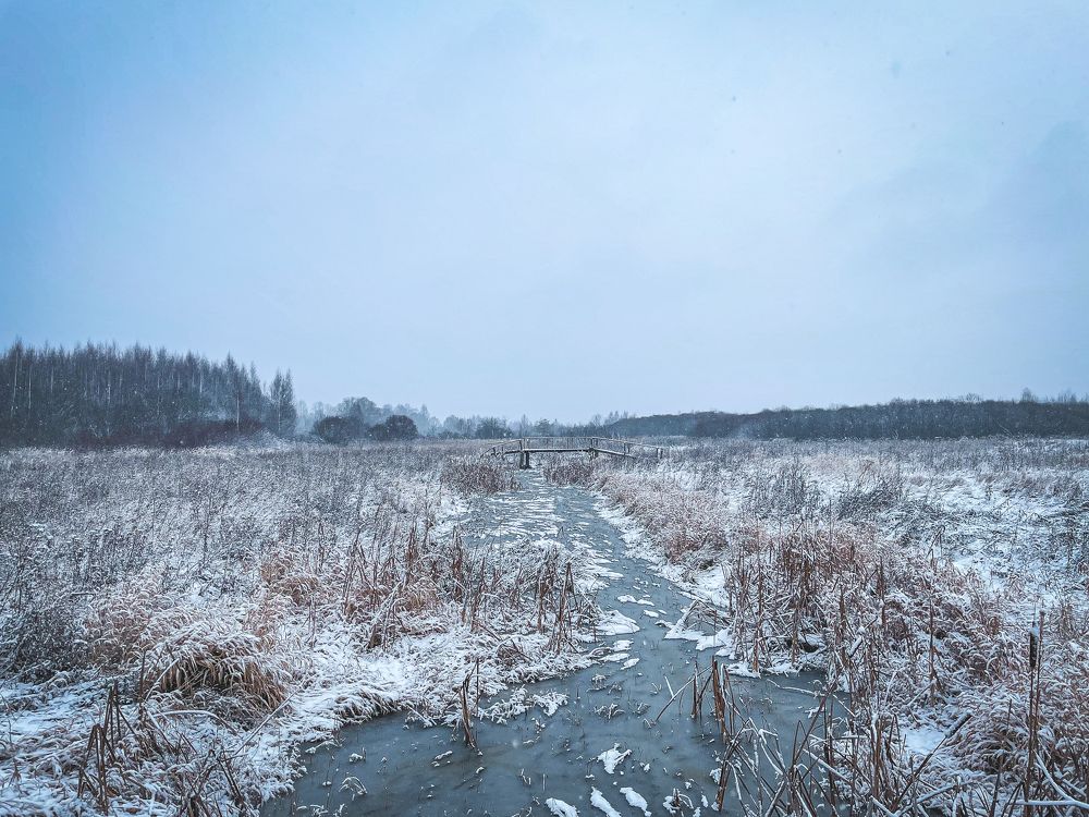 Photograph by Михаил