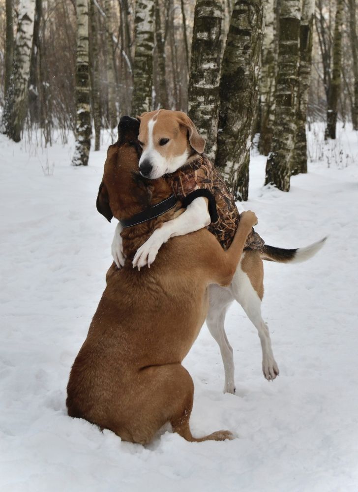 Photograph by Юлия Сидорова