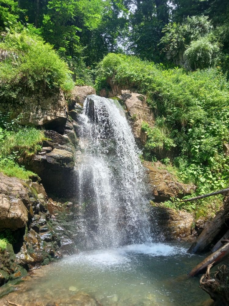 Photograph by Александр Гришин