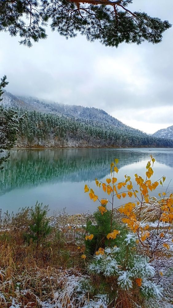 Photograph by Олеся Лосыгина