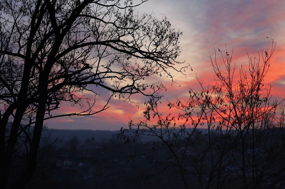 Фотография автора Мария Стратан