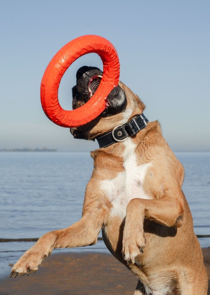 Photograph by Юлия Сидорова