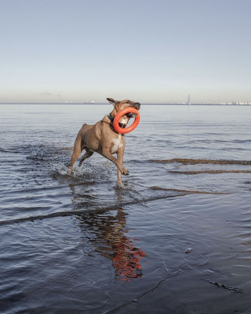 Photograph by Юлия Сидорова