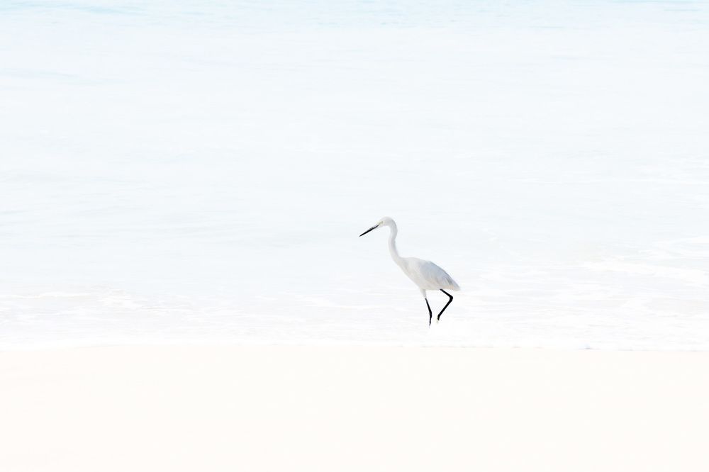 Photograph by Latheef M A