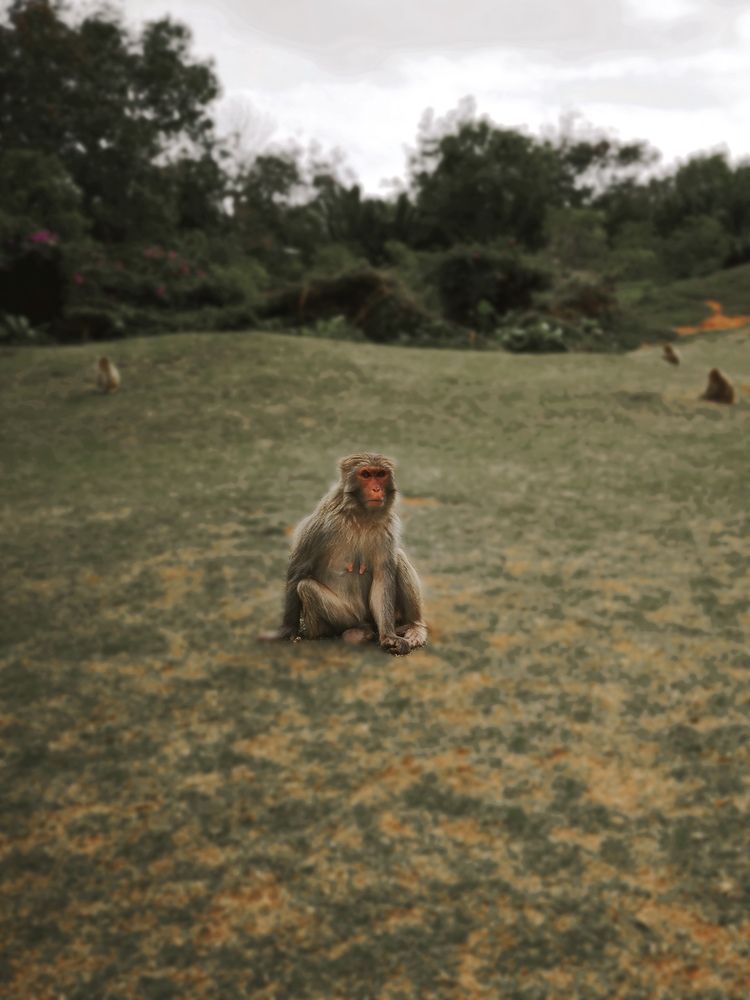 Photograph by София Лысова