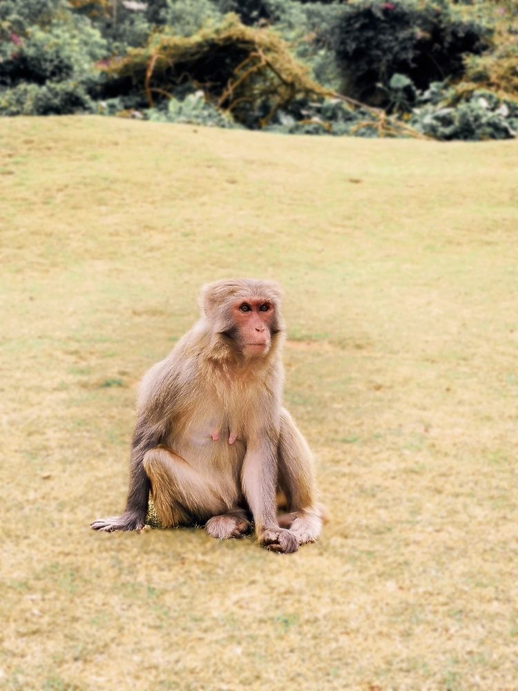 Photograph by София Лысова