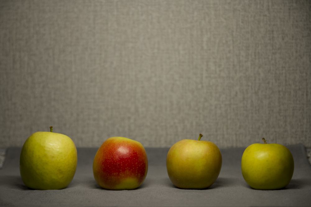 Фотография автора Анастасия Додрова