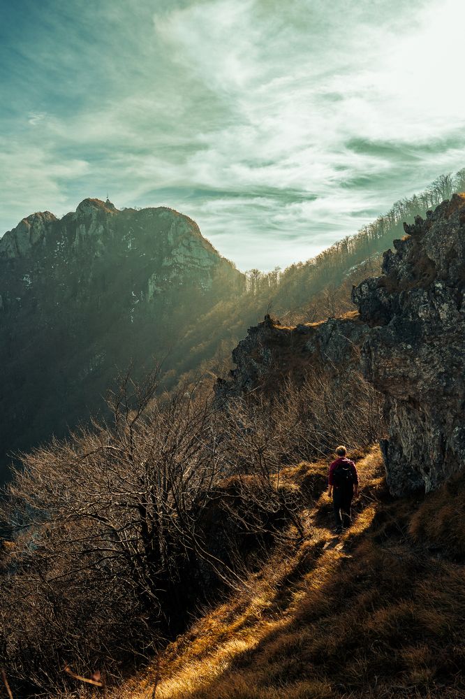 Фотография автора Igor Pavlovic