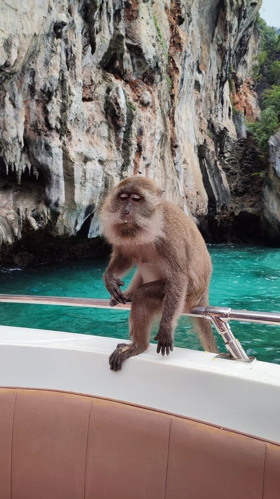 Photograph by Полина