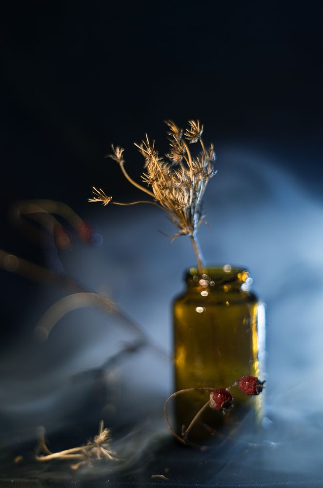 Photograph by Татьяна Псенкова