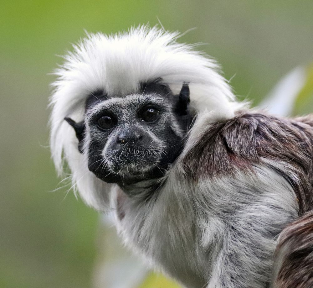 Photograph by Johan Koch