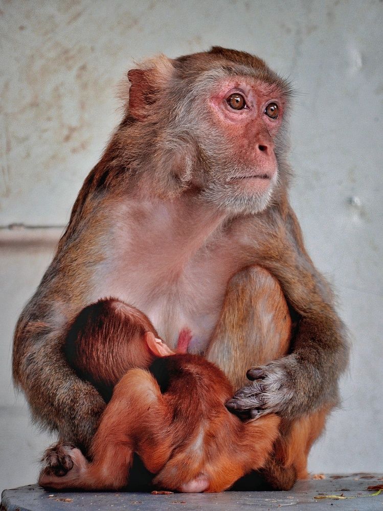 Photograph by Татьяна Бравая