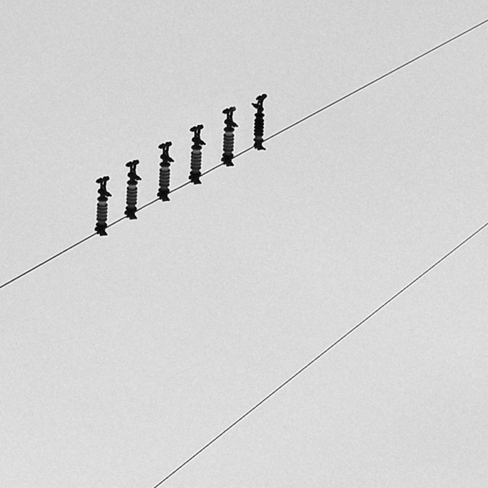 Photograph by Максим Антошкин