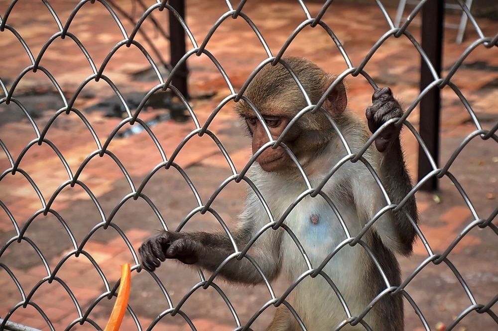 Photograph by Татьяна Бравая