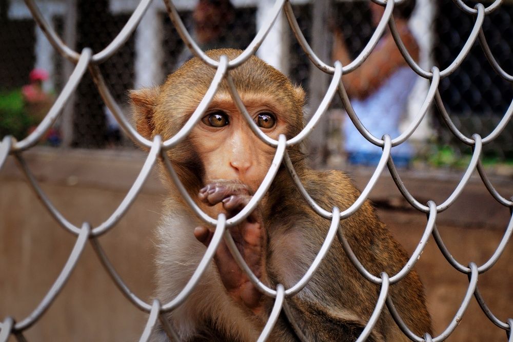 Photograph by Татьяна Бравая