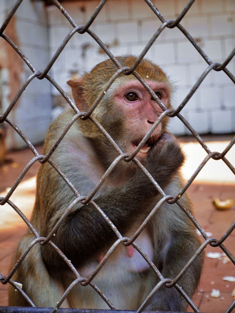 Photograph by Татьяна Бравая