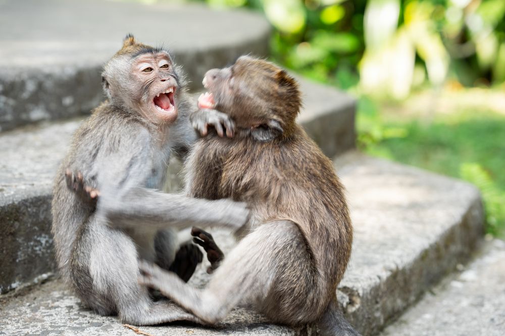 Photograph by Angelika Martko