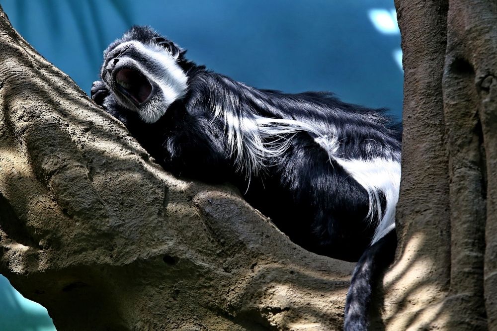 Photograph by Владимир Говоров