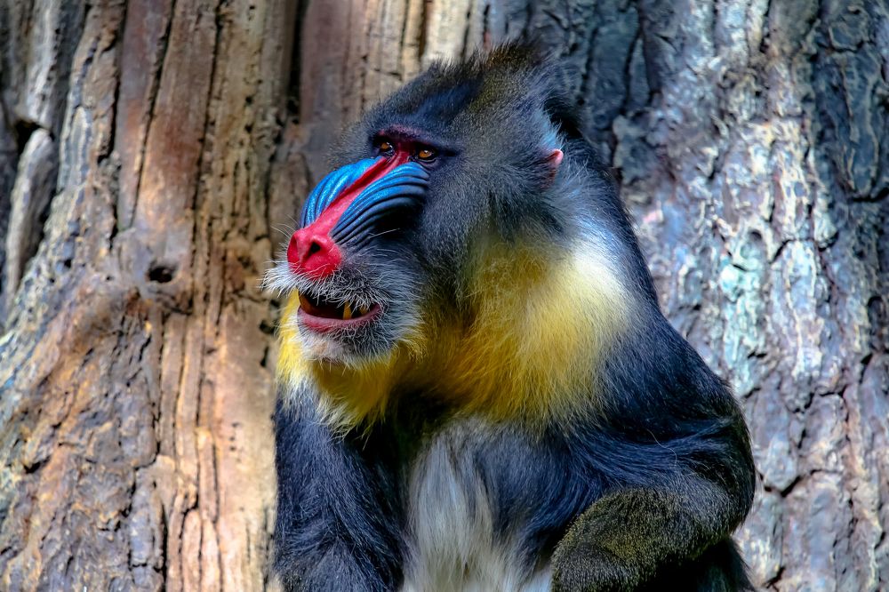 Photograph by Владимир Говоров