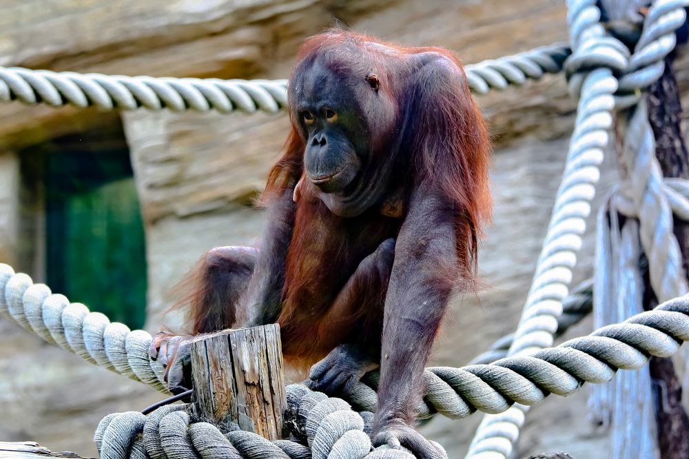 Photograph by Владимир Говоров