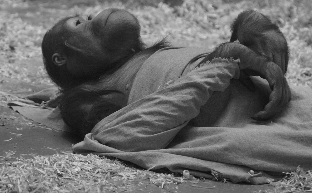 Photograph by Светлана Логинова