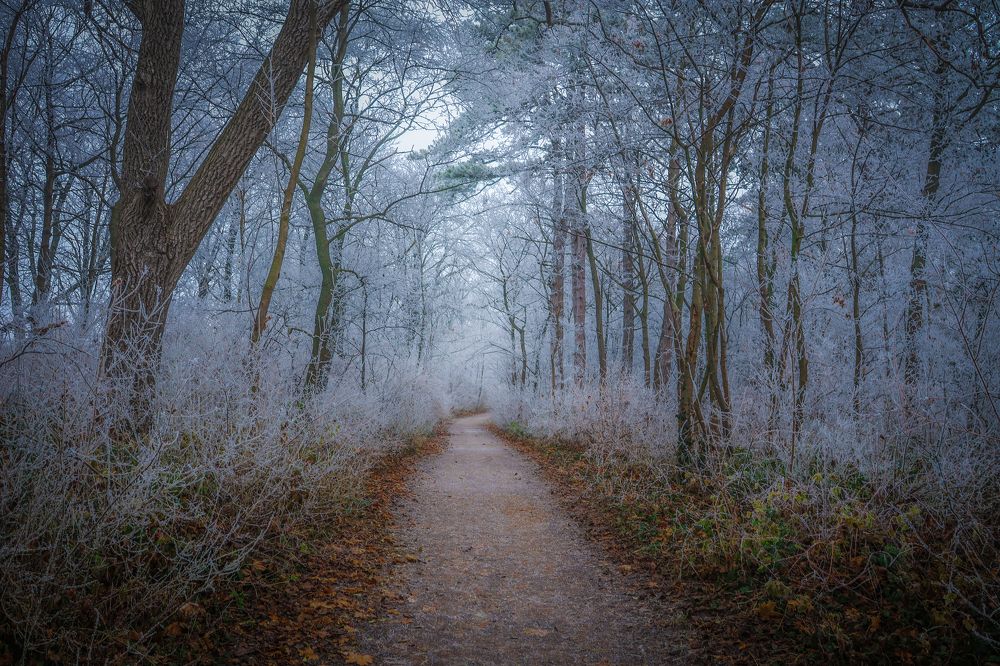 Photograph by Eva Wiedemann