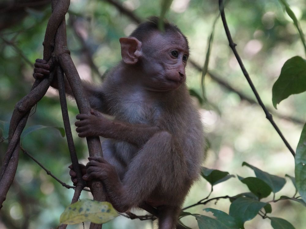 Photograph by Вадим Богатиков