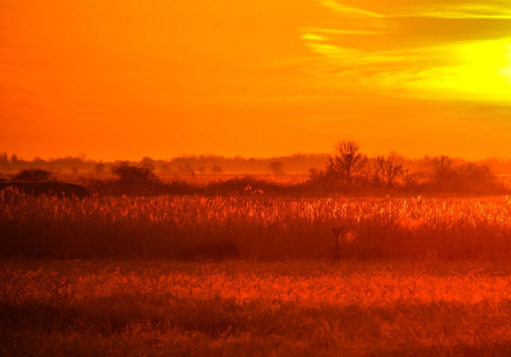 Photograph by Eva Wiedemann