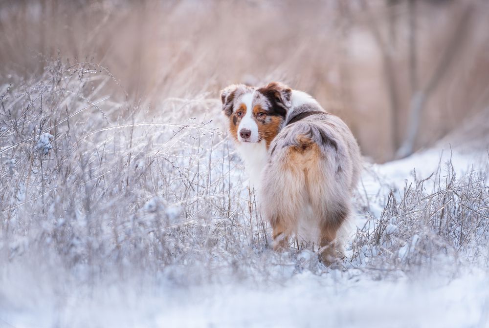 Фотография автора Anna Darahan