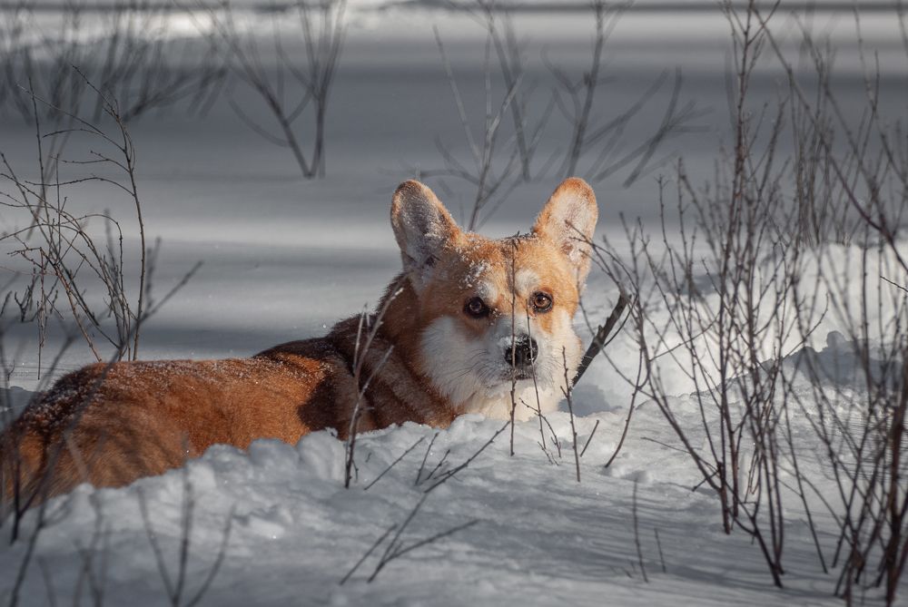 Photograph by Natalie Fromm