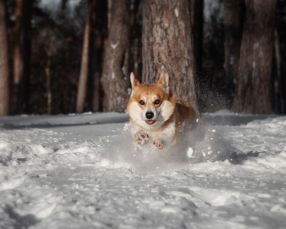 Photograph by Natalie Fromm