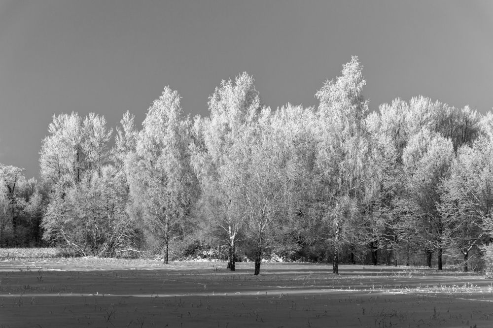 Photograph by Алексей Кочерыжкин