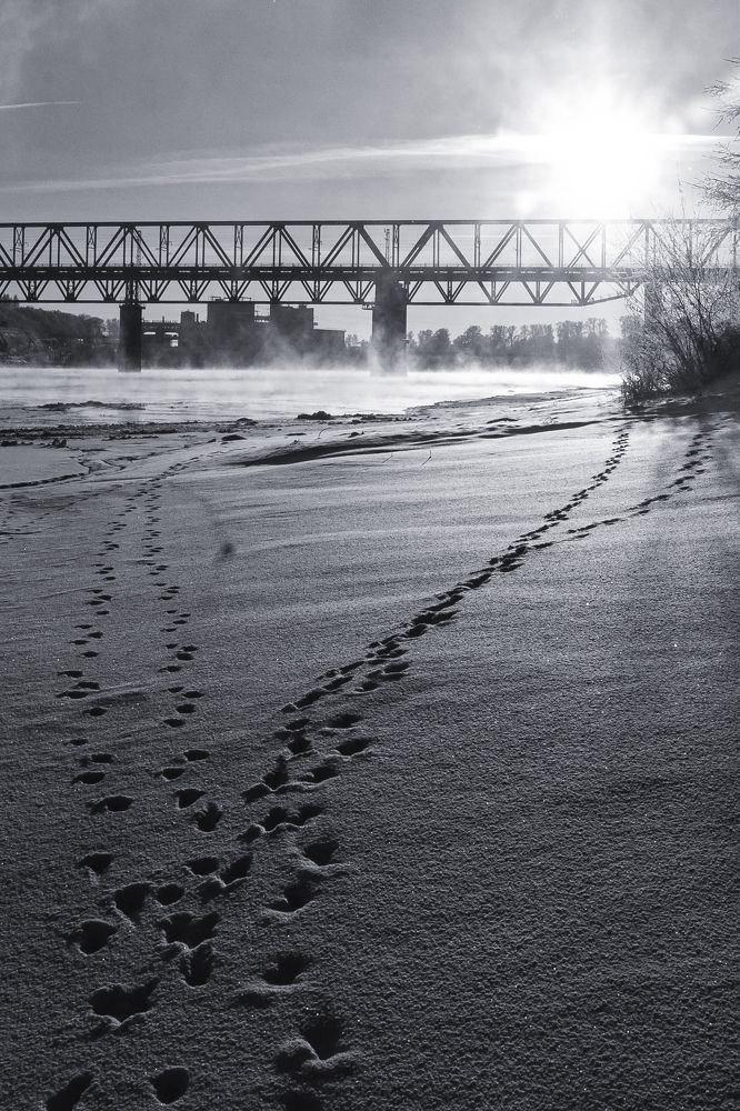 Photograph by Алексей Кочерыжкин