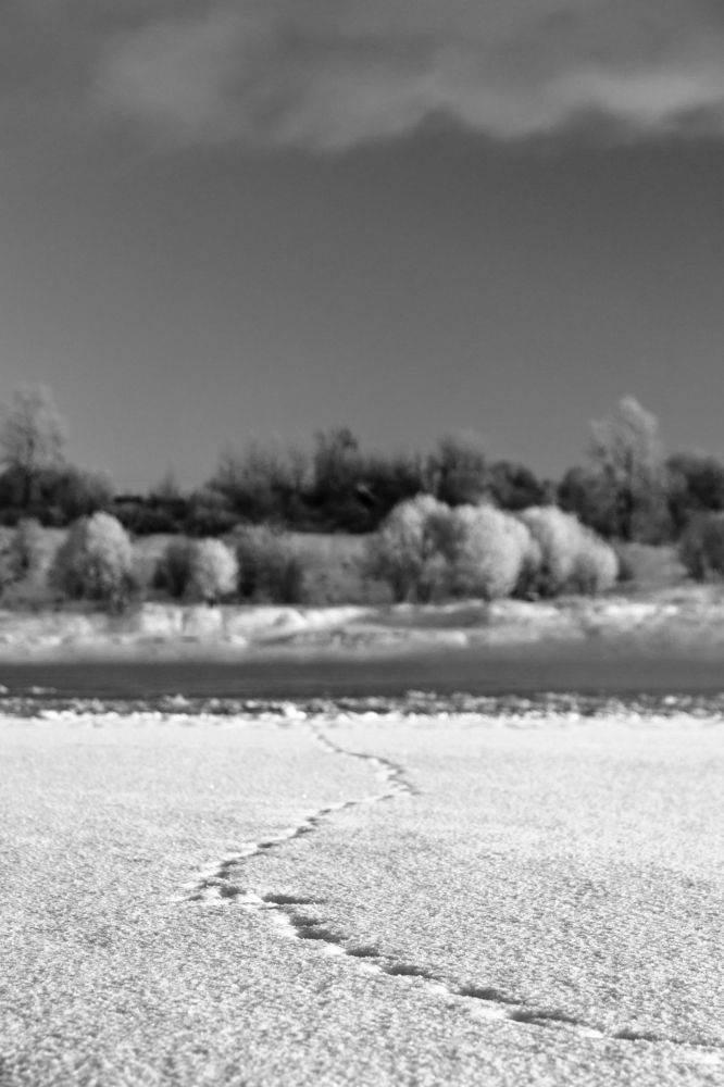 Photograph by Алексей Кочерыжкин