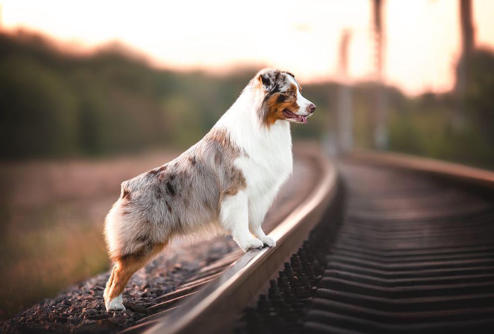 Фотография автора Anna Darahan