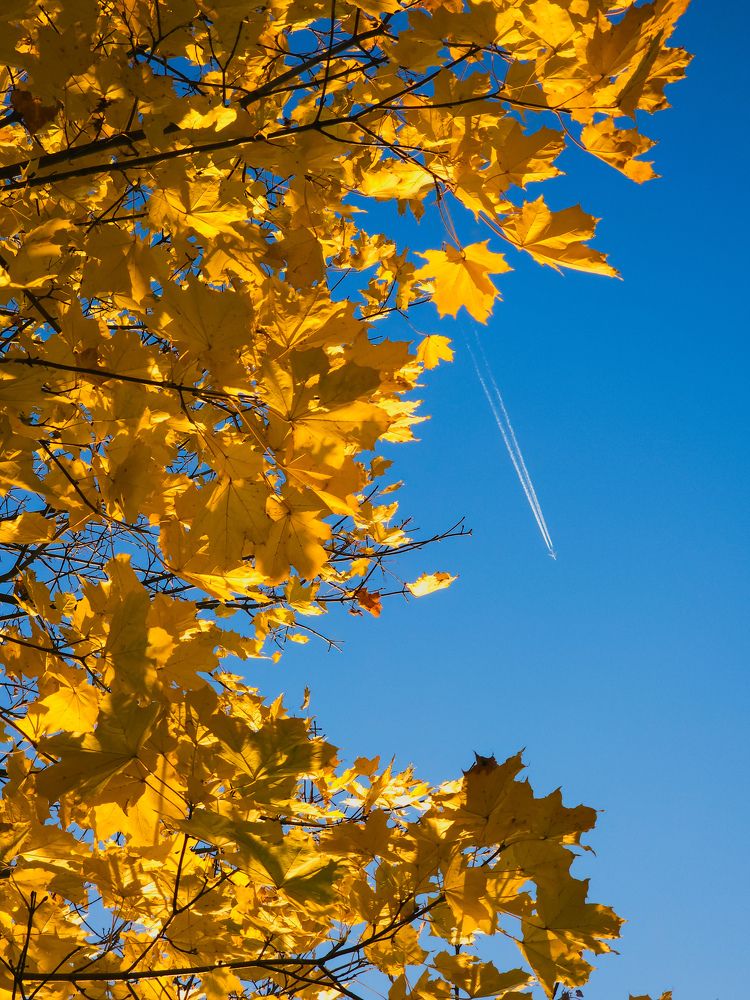 Photograph by Ирина Терентьева