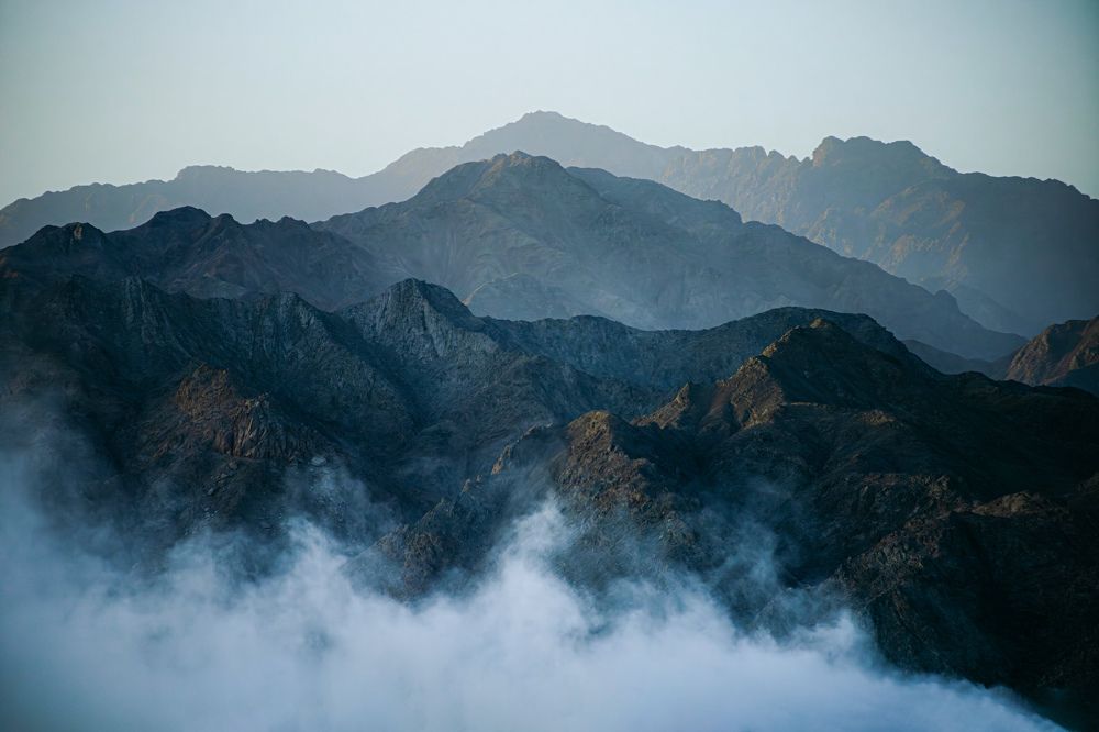 Photograph by Motaz Gohar