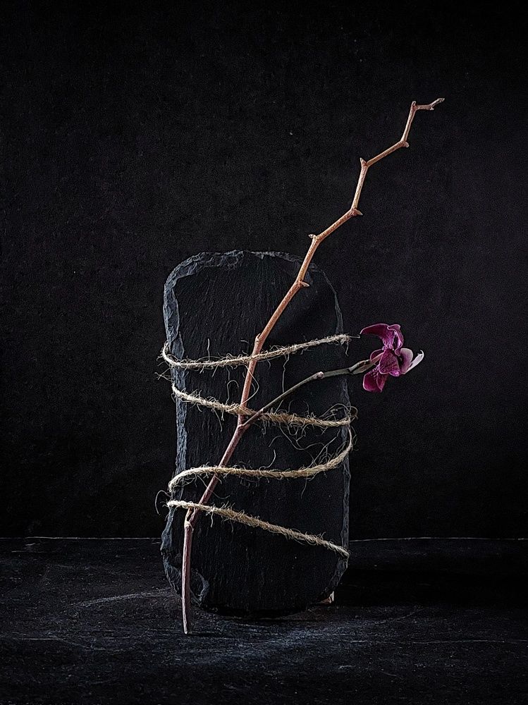 Photograph by Эмма Рахматуллина