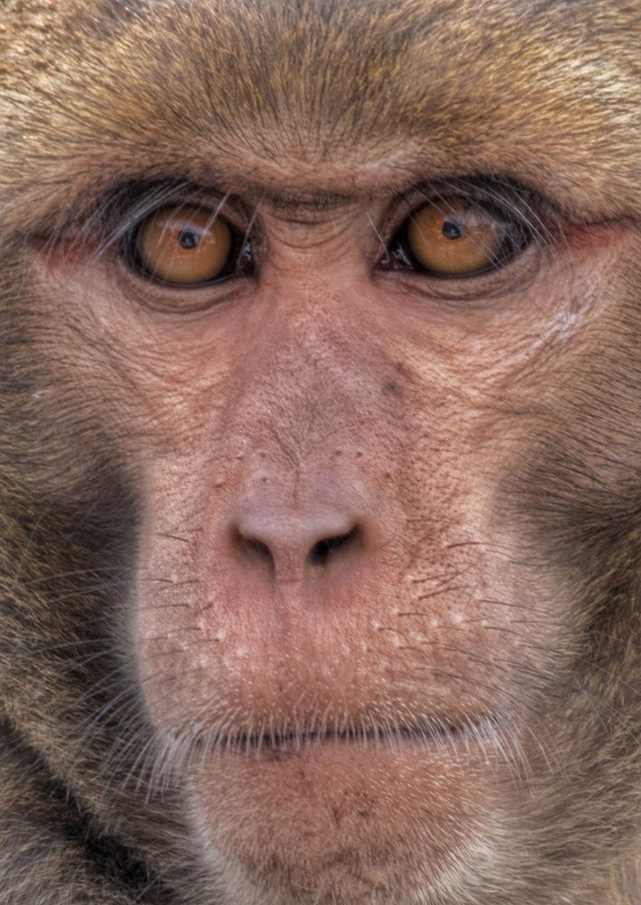 Фотография автора Washiful Majid