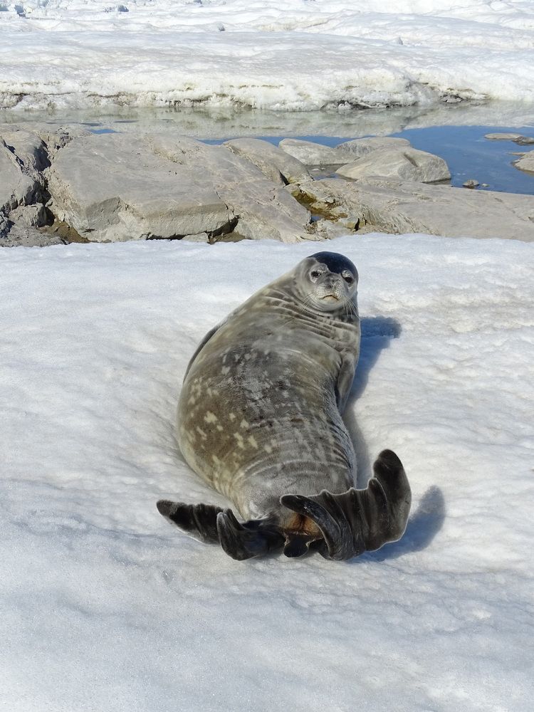 Photograph by MAKSIM MARKOV